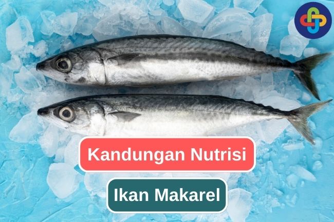 Inilah Nutrisi Yang Terkandung Pada Ikan Makarel 